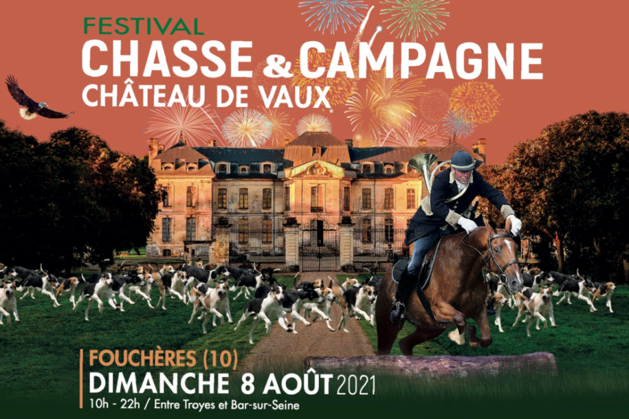 Affiche chateau de Vaux