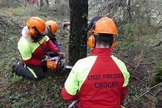 Lycée forestier Crogny