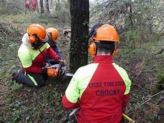 Lycée forestier Crogny